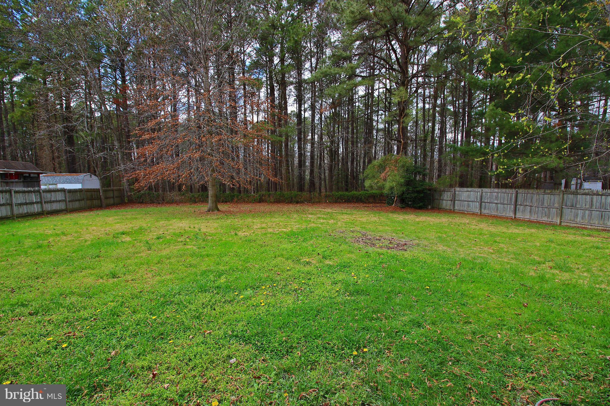 106 Harford Road Stevensville, MD 21666 - Photo 27 of 30 Exterior (Rear)