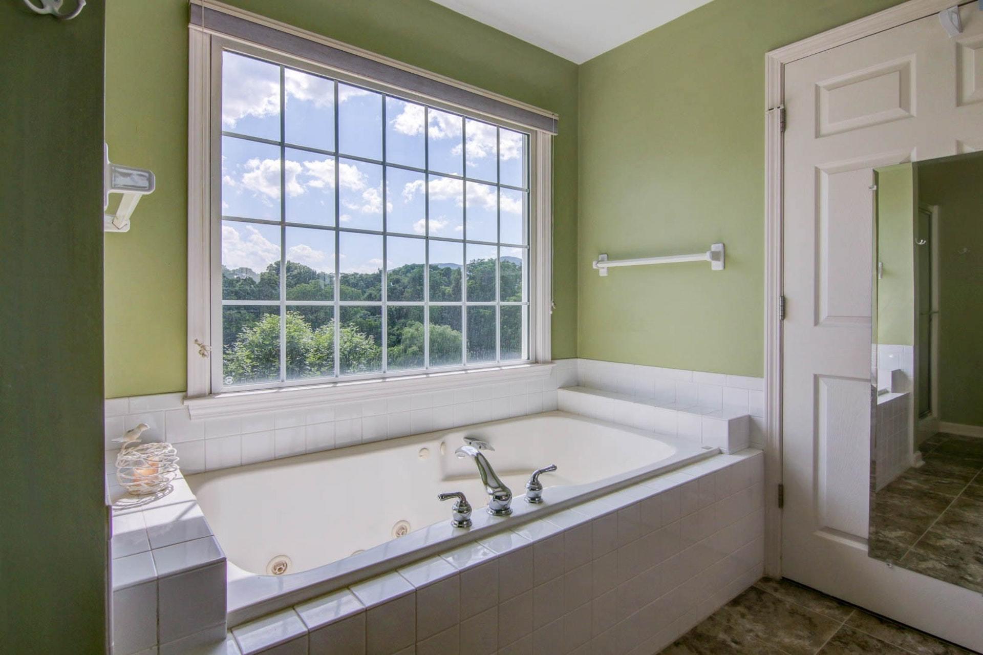 103 Eagle Ridge Roanoke, VA 24012 - Photo 32 of 54 Master Bath w jetted tub