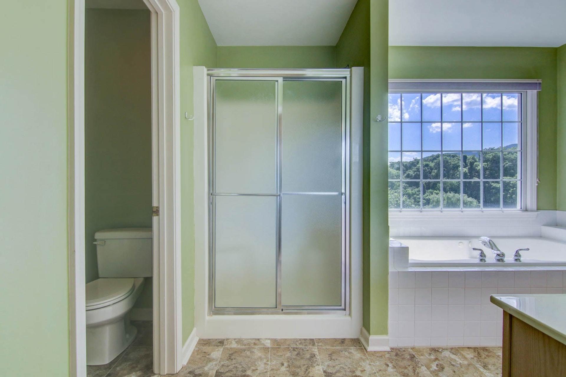 103 Eagle Ridge Roanoke, VA 24012 - Photo 33 of 54 Master Bath - walk in Shower