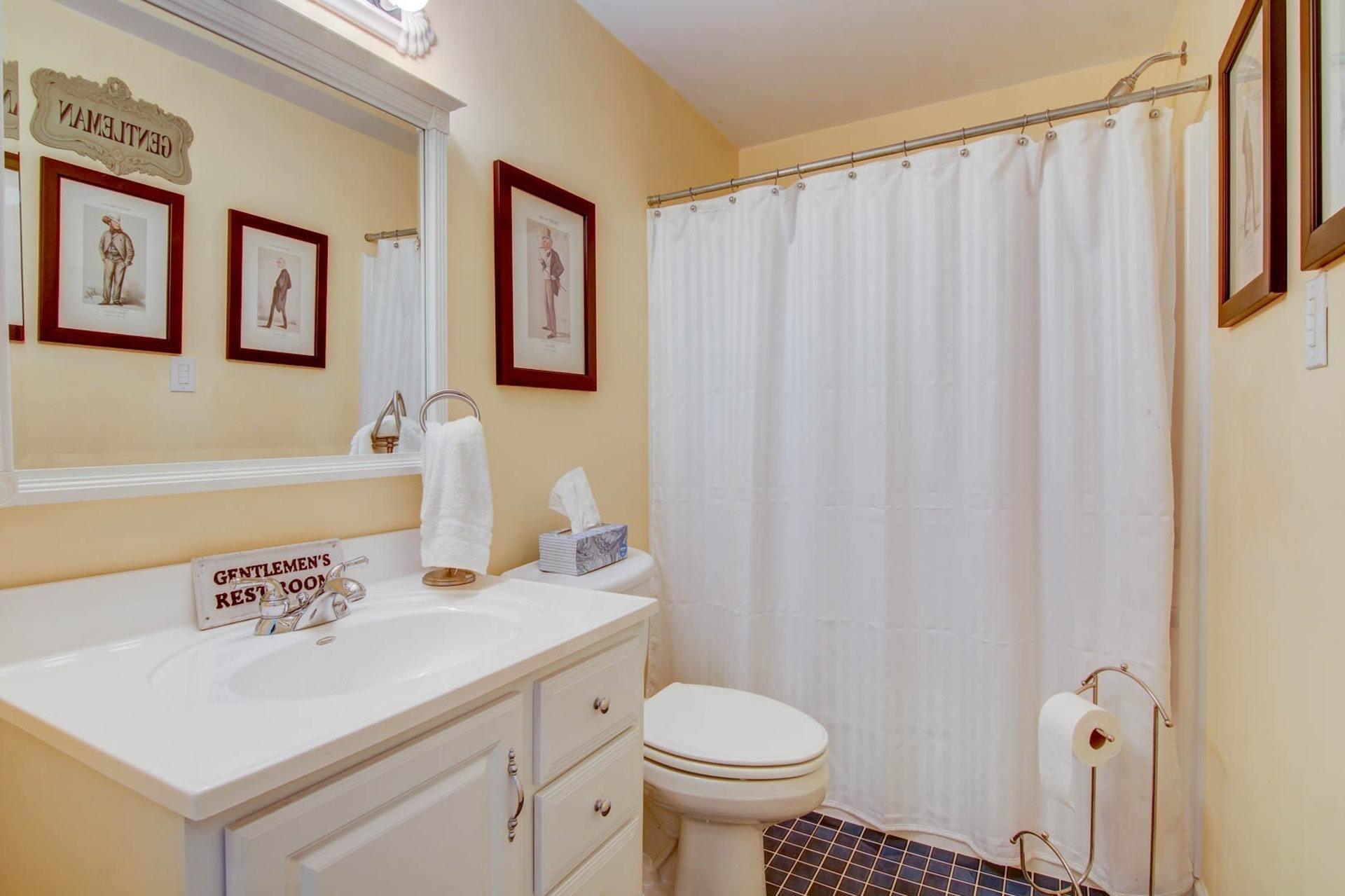 103 Eagle Ridge Roanoke, VA 24012 - Photo 38 of 54 Lower Level Bath