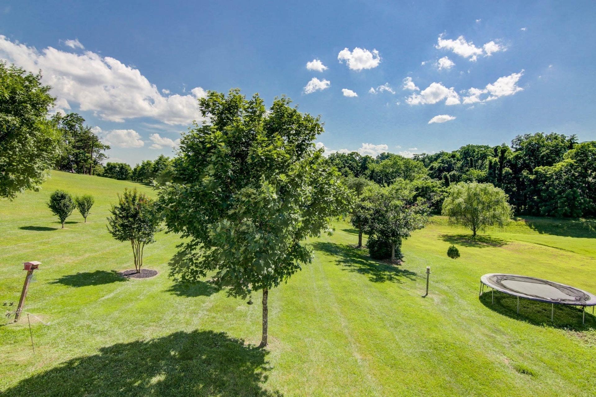 103 Eagle Ridge Roanoke, VA 24012 - Photo 46 of 54 Yard
