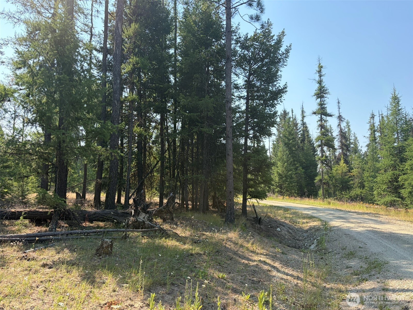 111-tbd Summer Road Tonasket, WA 98855 - Photo 14 of 28 Gallery Image 14