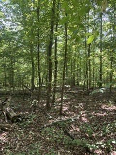 0 Old Union Church Road Holladay, TN 38341 - Photo 22 of 22 Gallery Image 22