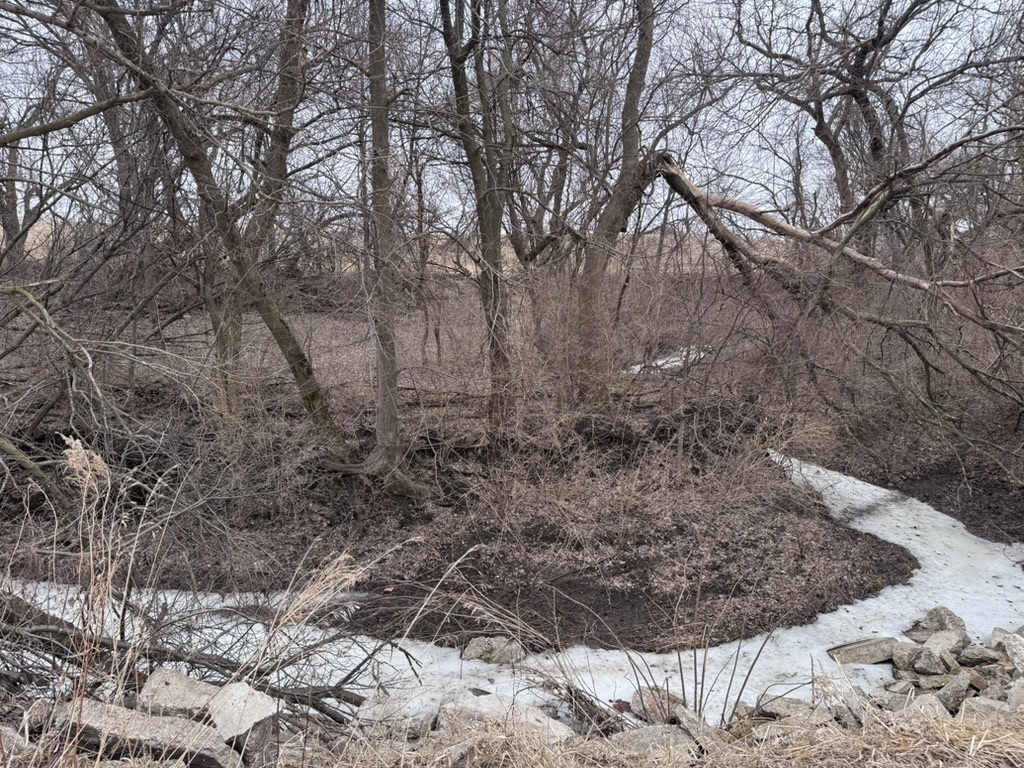 0 Shaw Road Compton, IL 61318 - Photo 12 of 25 a view of a yard