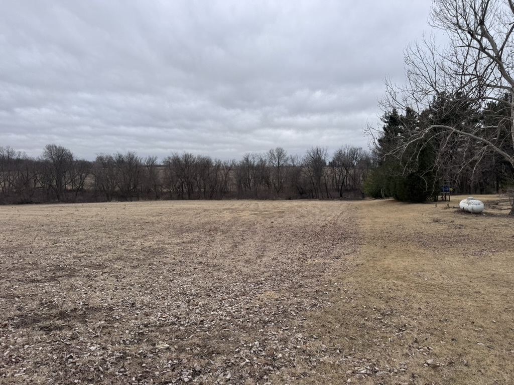 0 Shaw Road Compton, IL 61318 - Photo 13 of 25 a view of wall with large trees