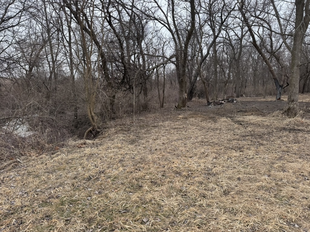 0 Shaw Road Compton, IL 61318 - Photo 14 of 25 a view of backyard with large trees