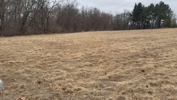 a view of an outdoor space and a yard