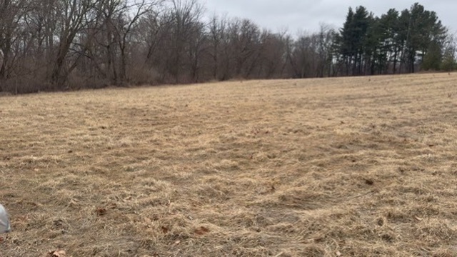 0 Shaw Road Compton, IL 61318 - Photo 15 of 25 a view of yard