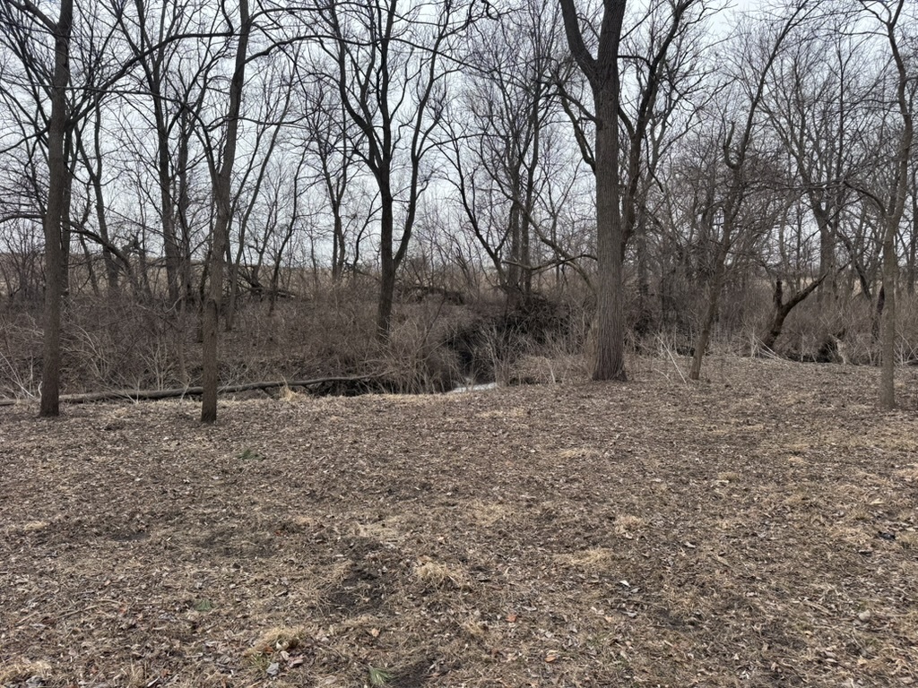 0 Shaw Road Compton, IL 61318 - Photo 17 of 25 a view of a backyard