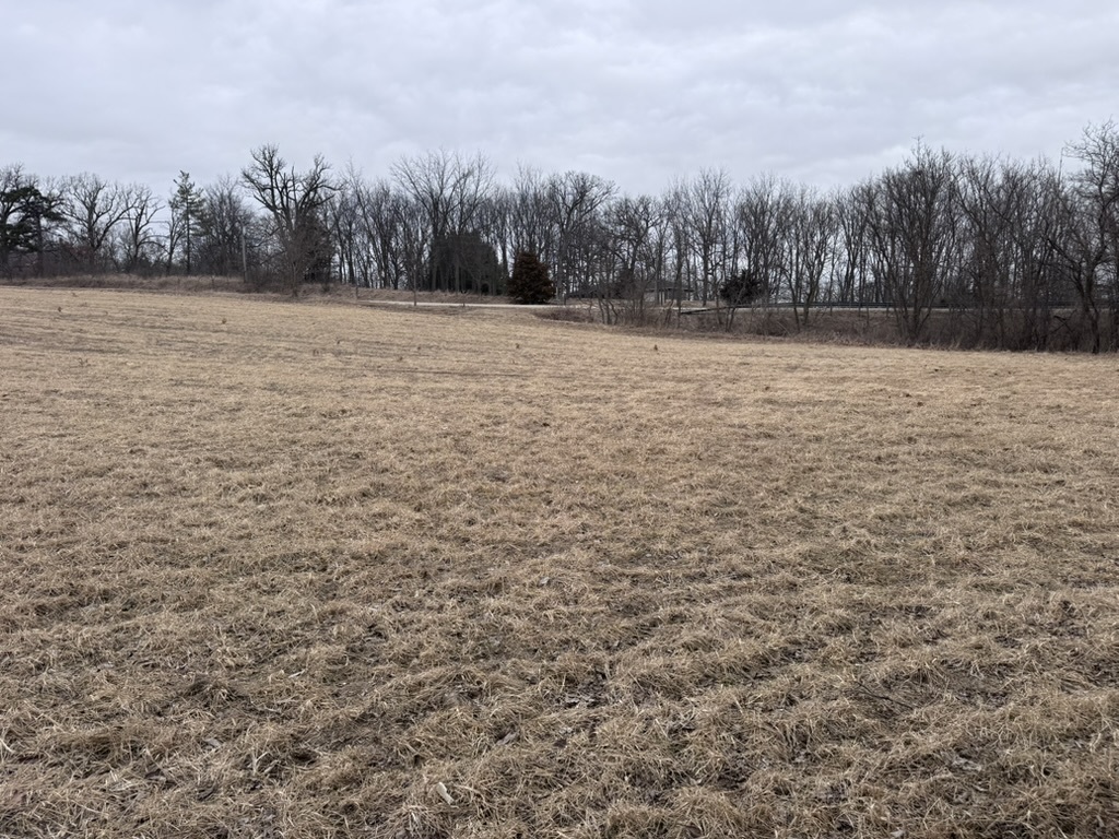 0 Shaw Road Compton, IL 61318 - Photo 3 of 25 a view of a field with trees in the background