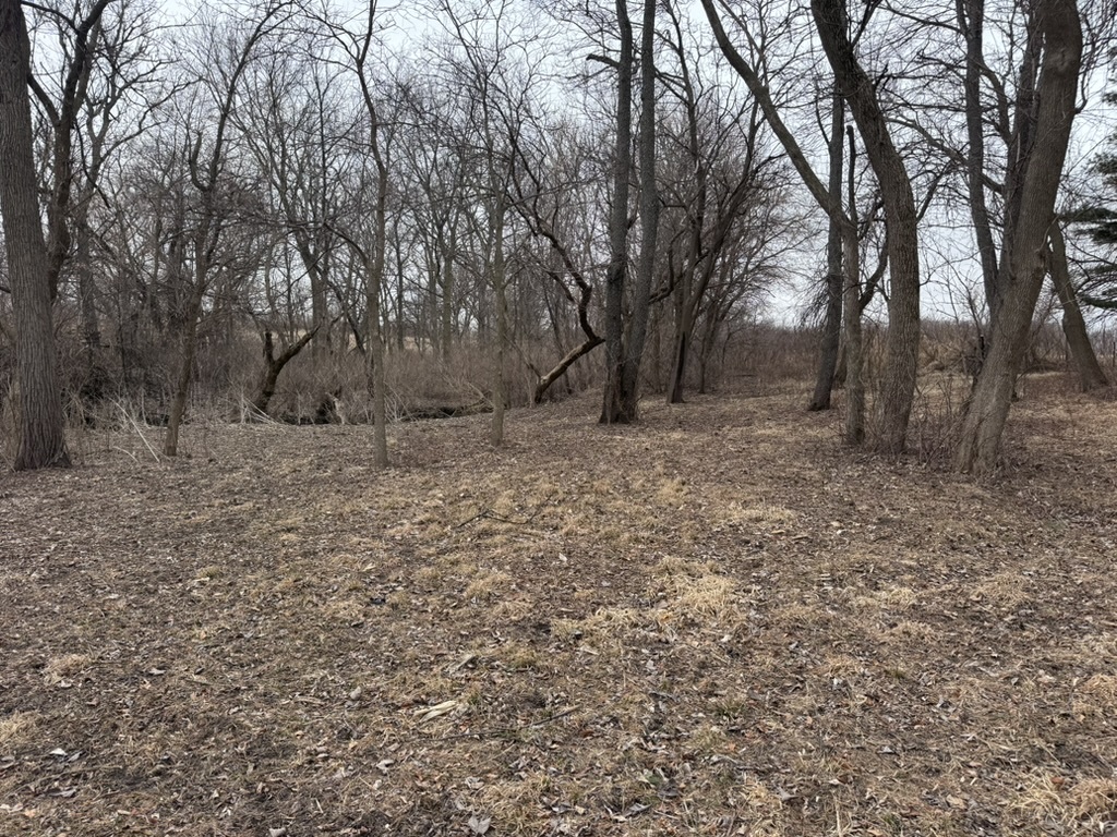 0 Shaw Road Compton, IL 61318 - Photo 4 of 25 a backyard of a house with lots of green space