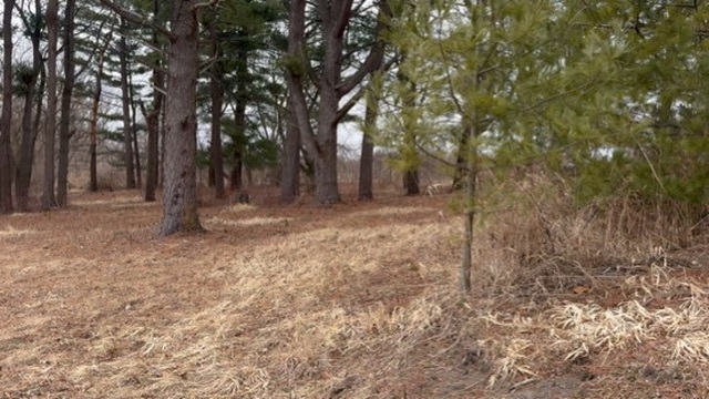 0 Shaw Road Compton, IL 61318 - Photo 5 of 25 a backyard of a house with lots of green space