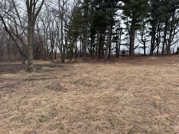 a view of outdoor space with trees