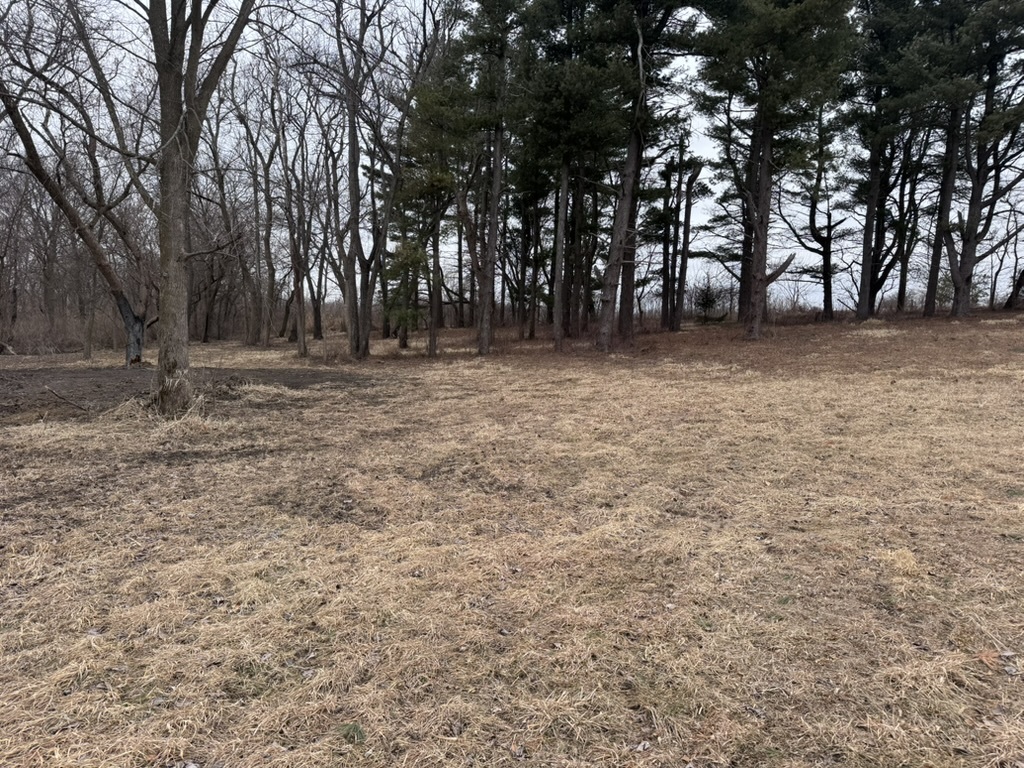 0 Shaw Road Compton, IL 61318 - Photo 6 of 25 a view of outdoor space with trees