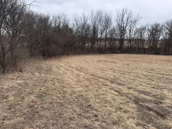 a view of a dry yard with trees