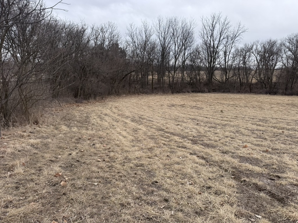 0 Shaw Road Compton, IL 61318 - Photo 8 of 25 a view of road with trees
