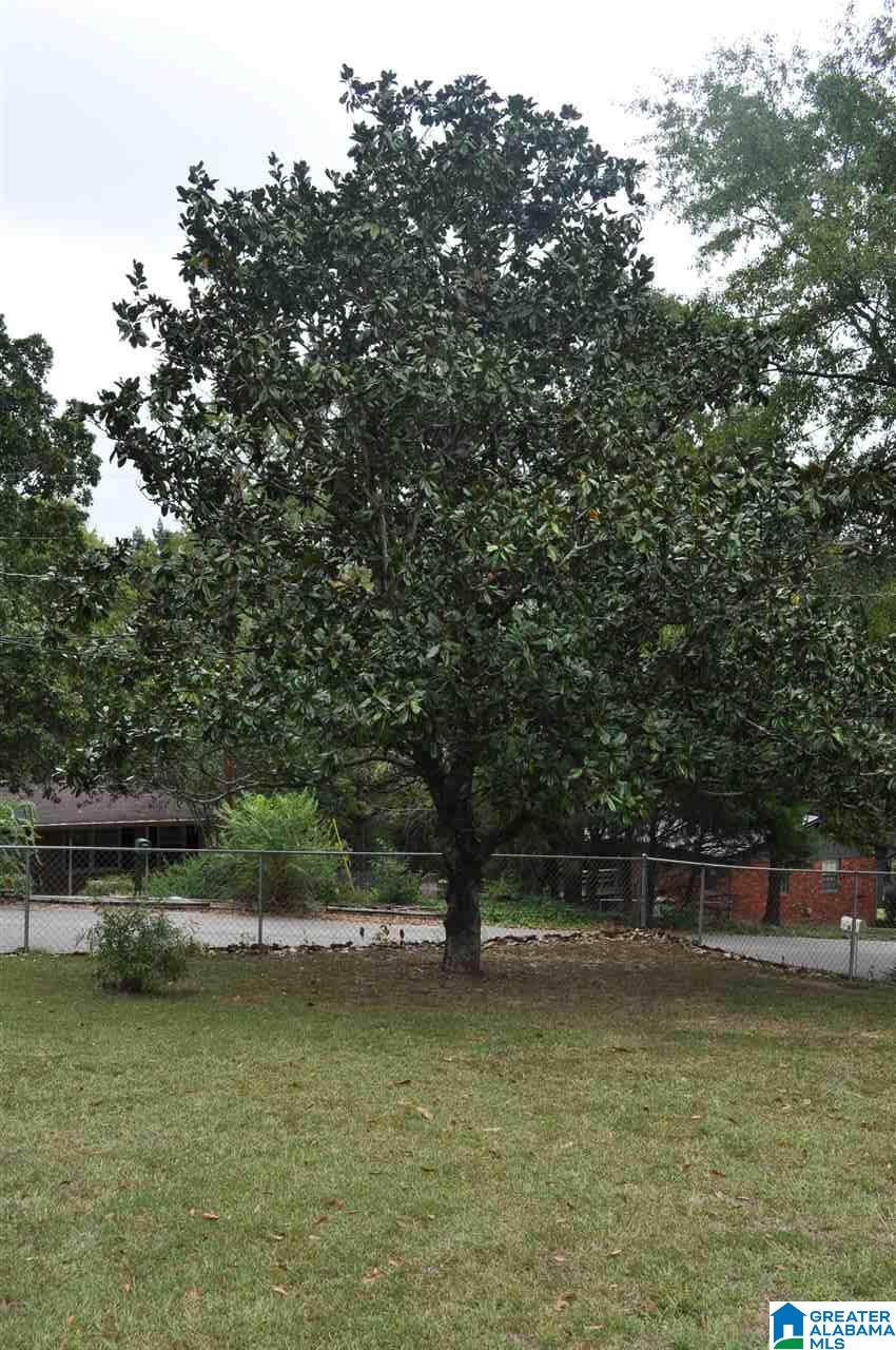 454 16th Street Calera, AL 35040 - Photo 14 of 14