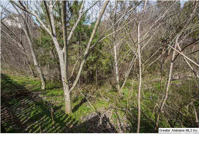 205 Stonecreek Way Helena, AL 35080 - Photo 15 of 22