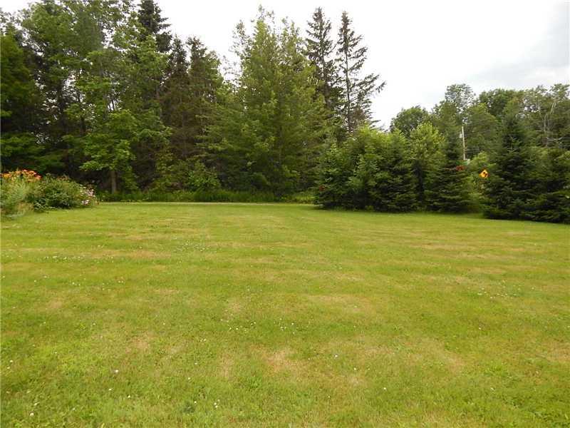 905 River Road Bucksport, ME 04416 - Photo 10 of 35 Land/Lot.