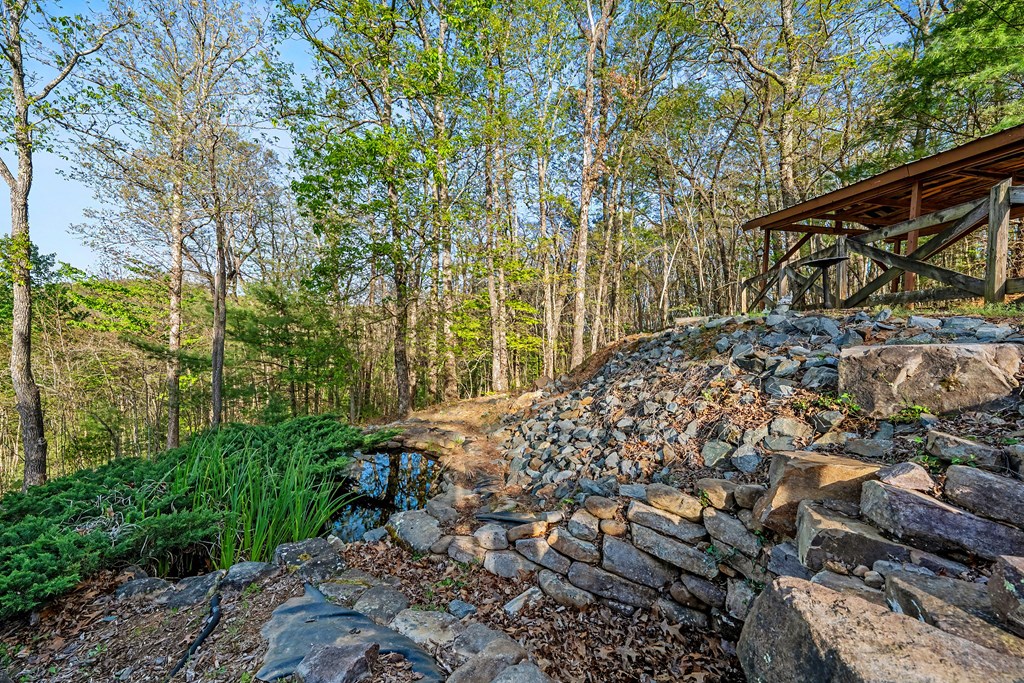 431 Sun Rock Mountain Road Blue Ridge, GA 30513 - Photo 44 of 57