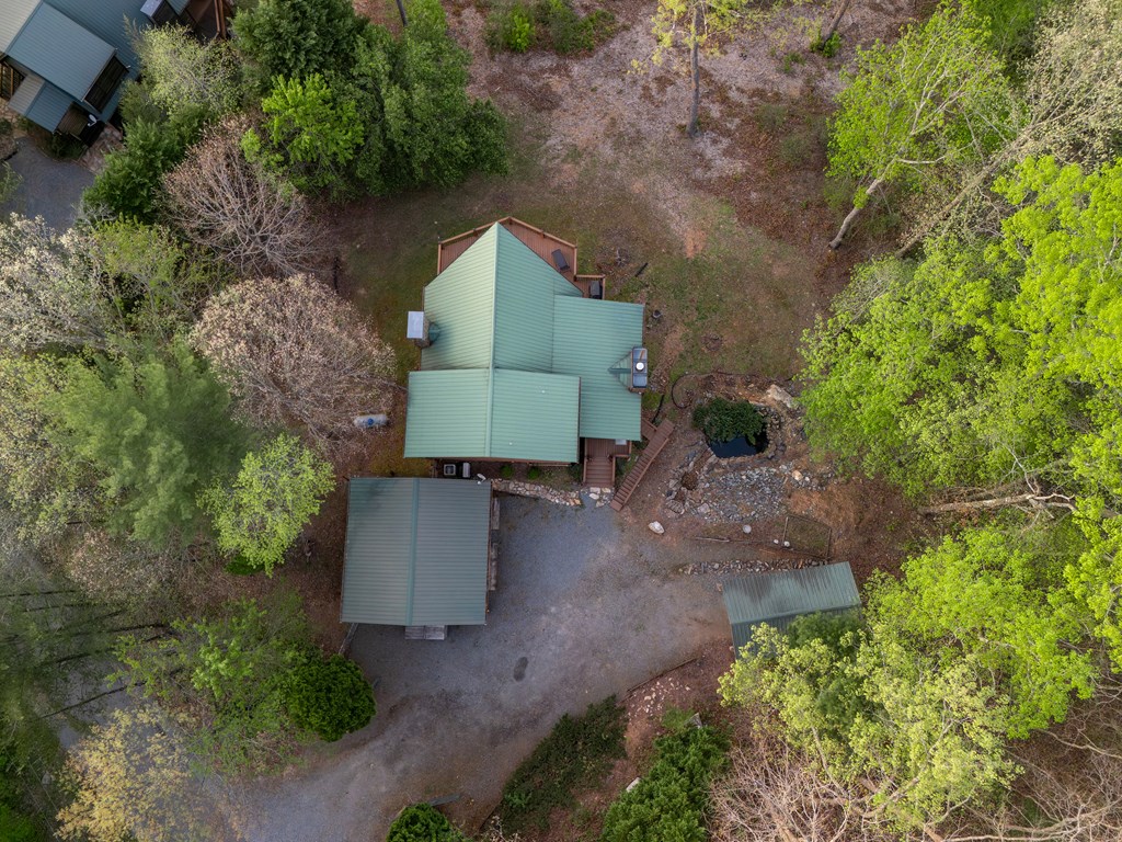 431 Sun Rock Mountain Road Blue Ridge, GA 30513 - Photo 46 of 57