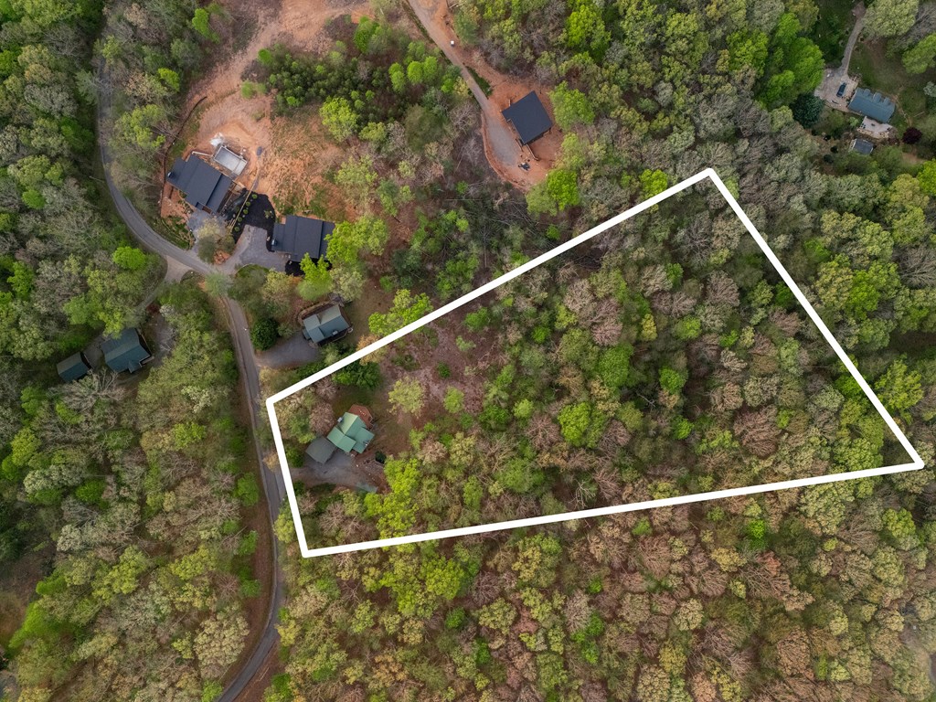 431 Sun Rock Mountain Road Blue Ridge, GA 30513 - Photo 47 of 57