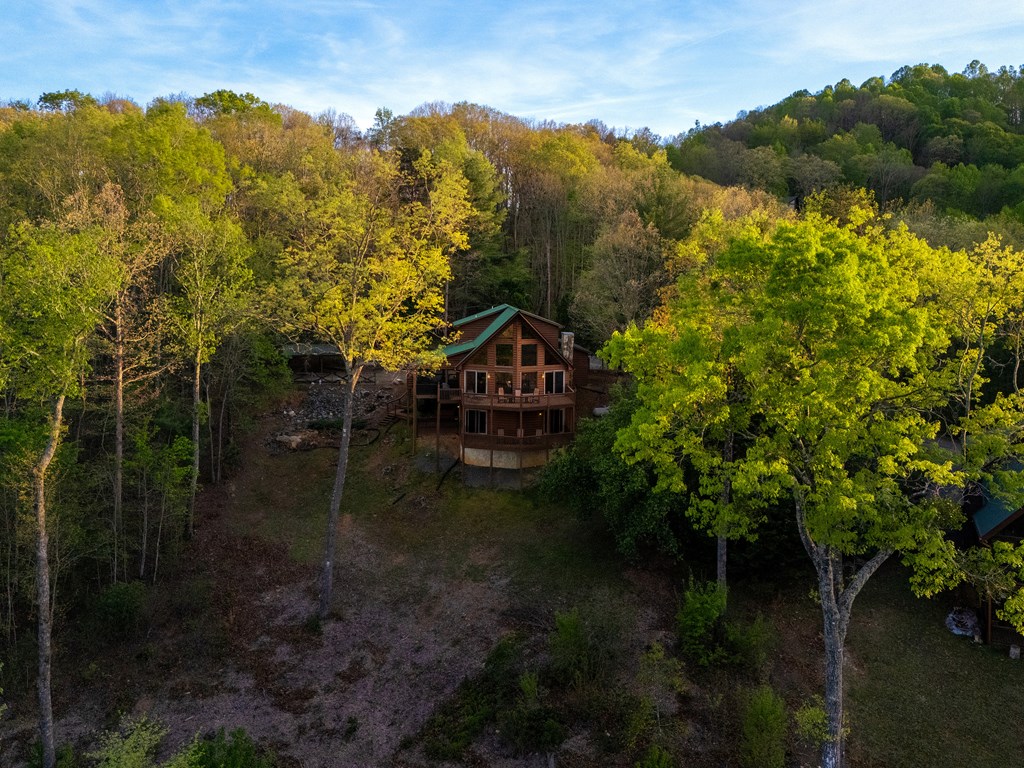 431 Sun Rock Mountain Road Blue Ridge, GA 30513 - Photo 50 of 57