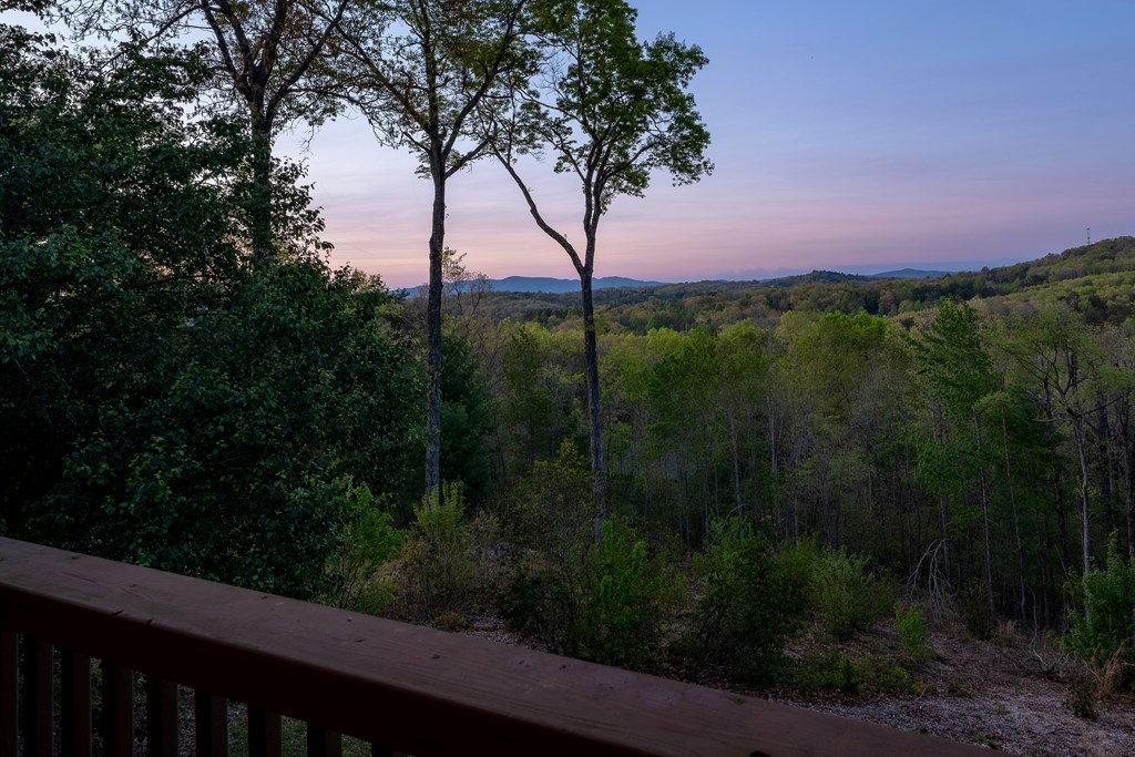431 Sun Rock Mountain Road Blue Ridge, GA 30513 - Photo 6 of 57
