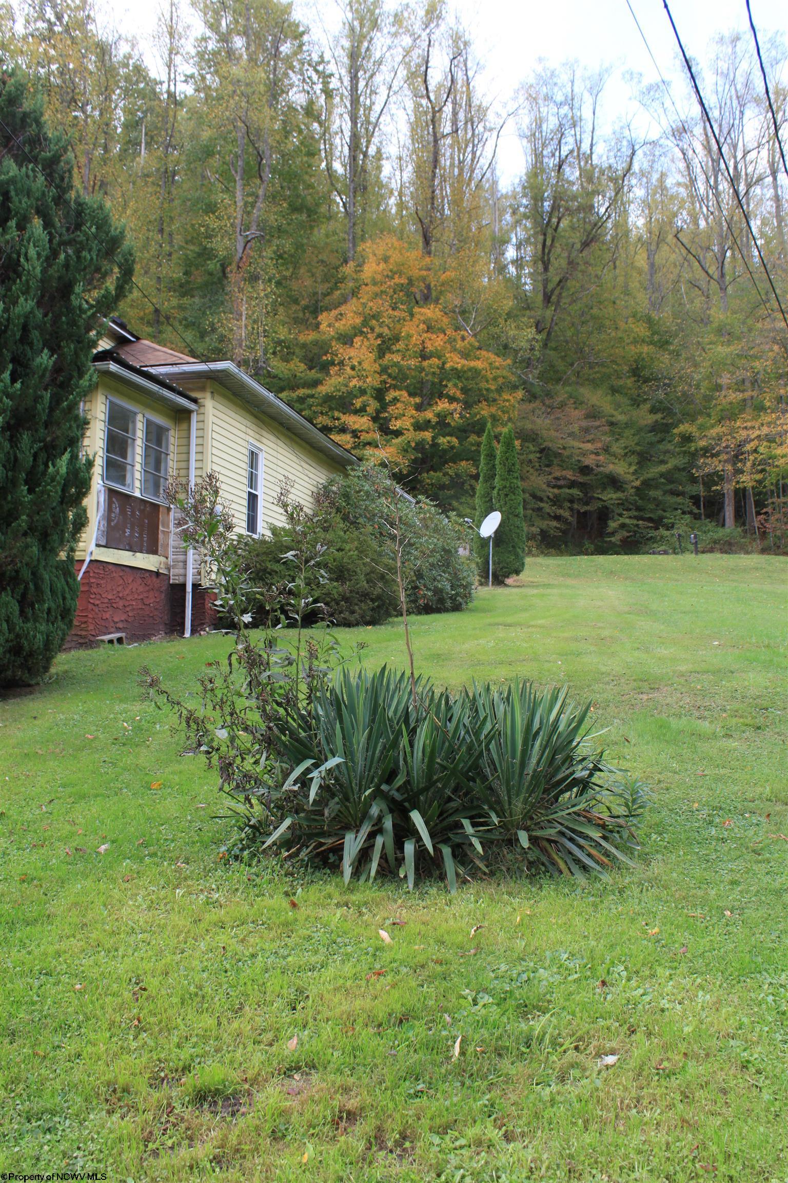 70 Red Bluff Road Webster Springs, WV 26288 - Photo 7 of 26 Gallery Image 7