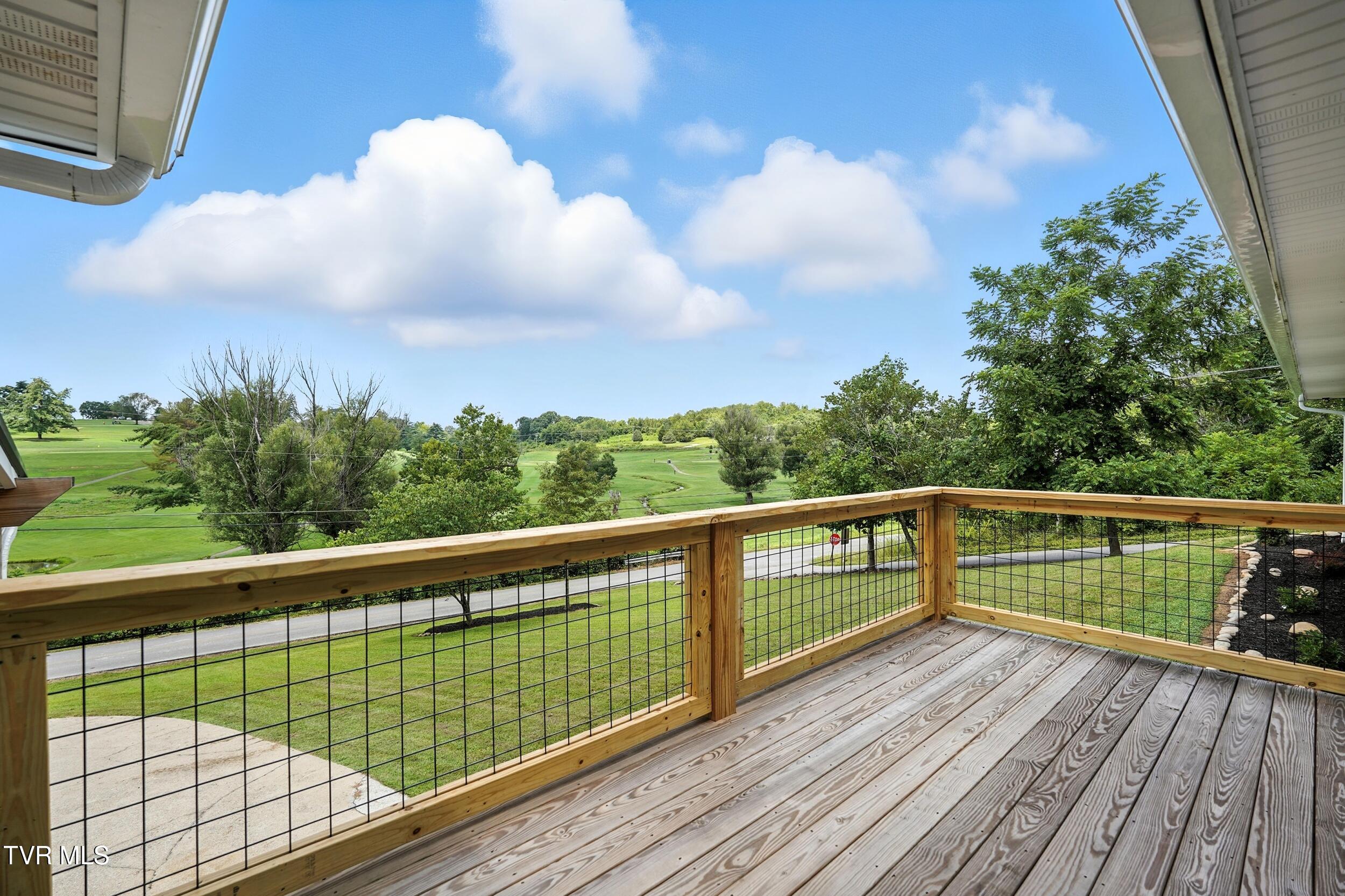 3270 Ripley Island Road Afton, TN 37616 - Photo 4 of 66 004