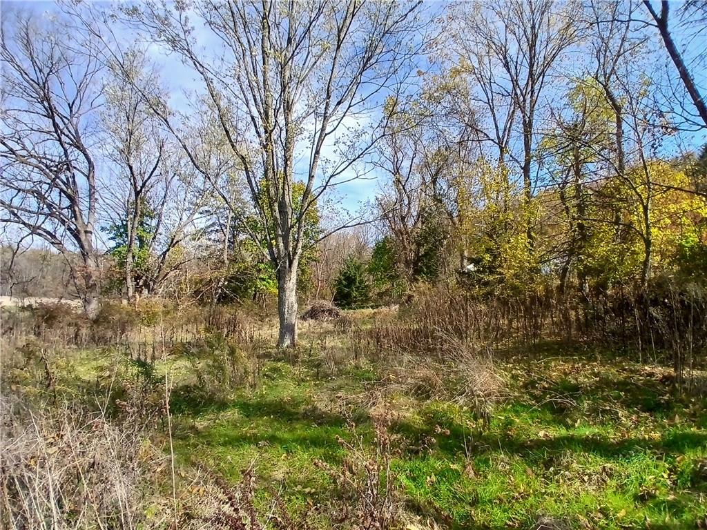 186 Dutch Hill Road Latrobe, PA 15650 - Photo 27 of 29 a view of a yard with plants and trees