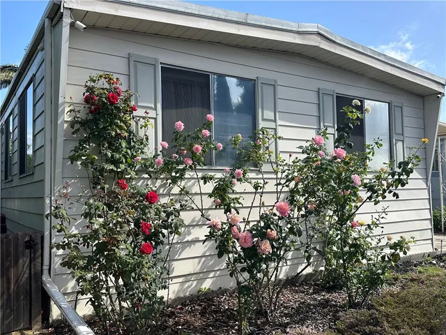view of the house with flower pots