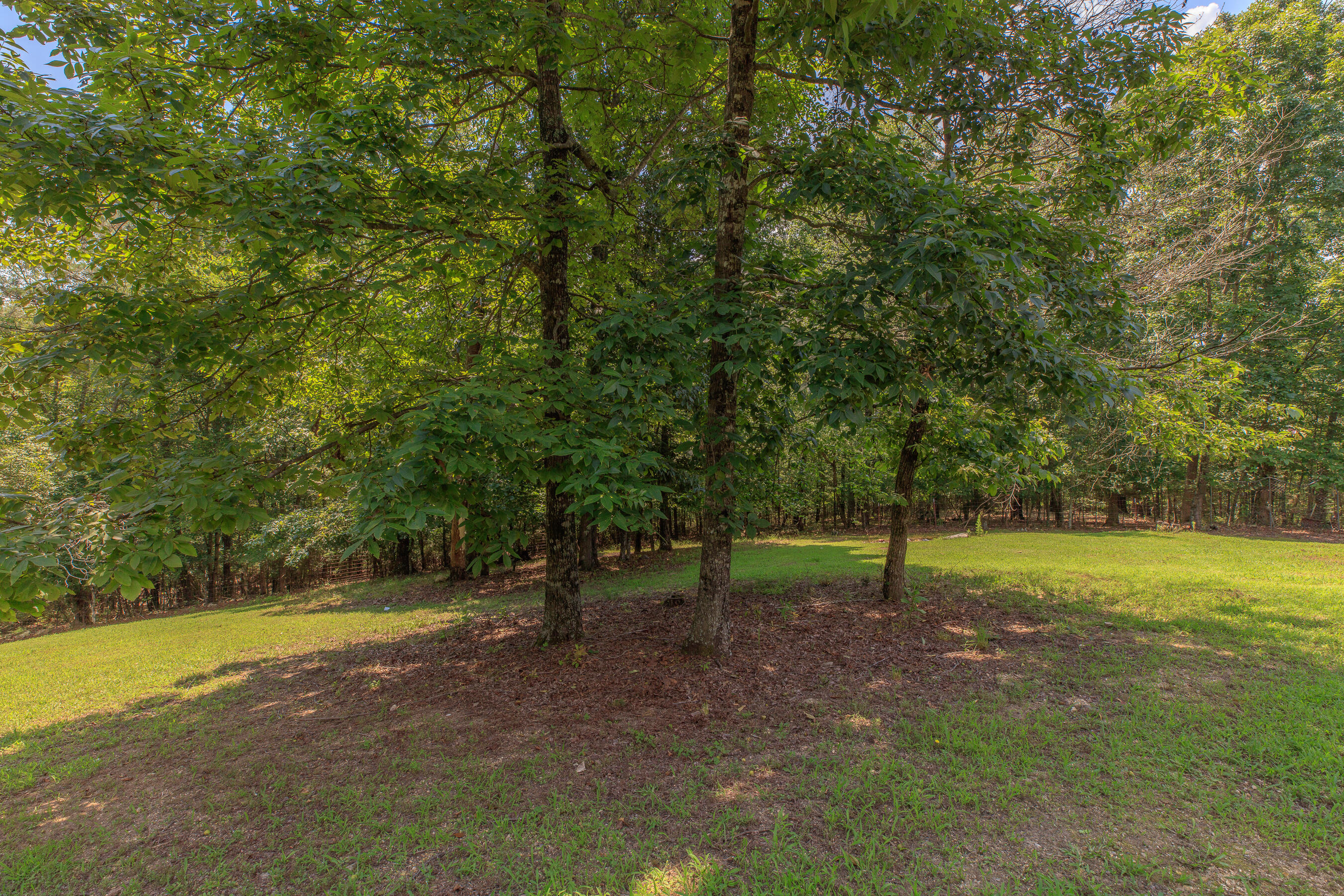 1103 Monroe Green Road Trion, GA 30753 - Photo 25 of 41 1103 Monroe Green HD-7