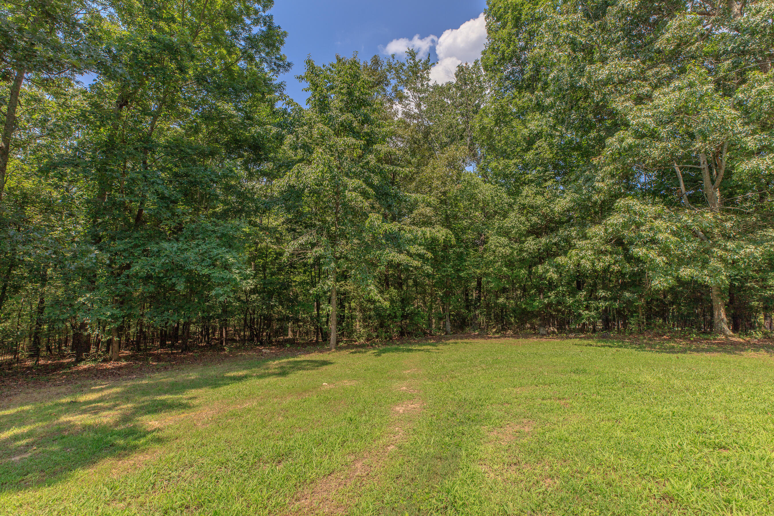 1103 Monroe Green Road Trion, GA 30753 - Photo 27 of 41 1103 Monroe Green HD-2