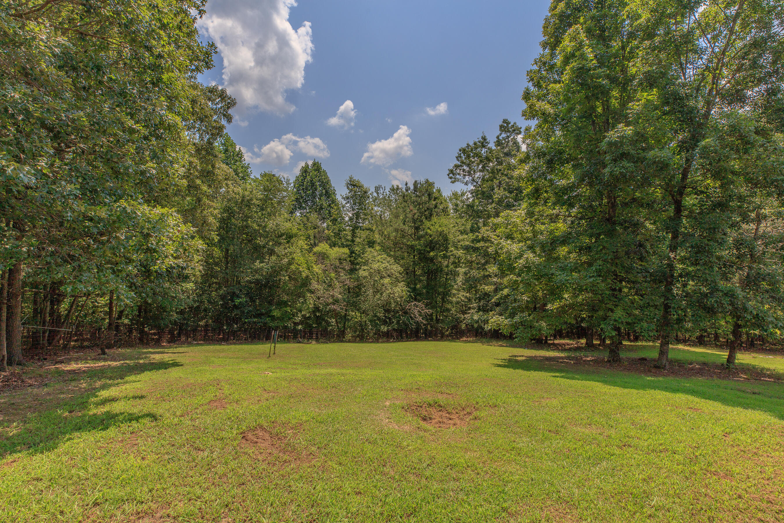 1103 Monroe Green Road Trion, GA 30753 - Photo 31 of 41 1103 Monroe Green HD-10