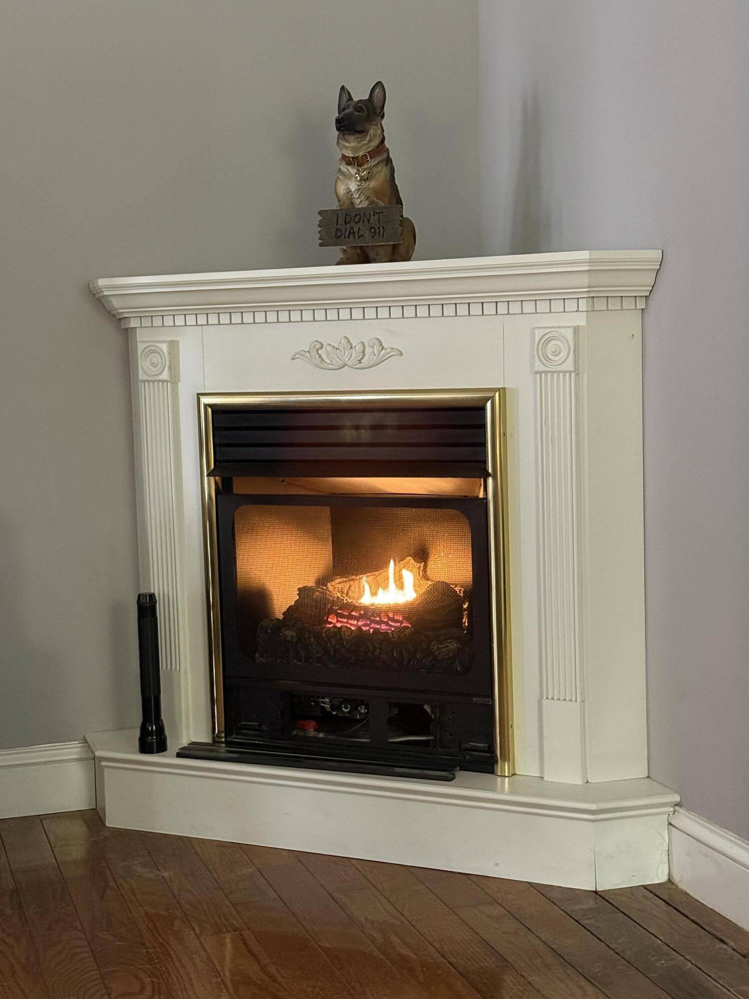 1103 Monroe Green Road Trion, GA 30753 - Photo 8 of 41 monroe fireplace