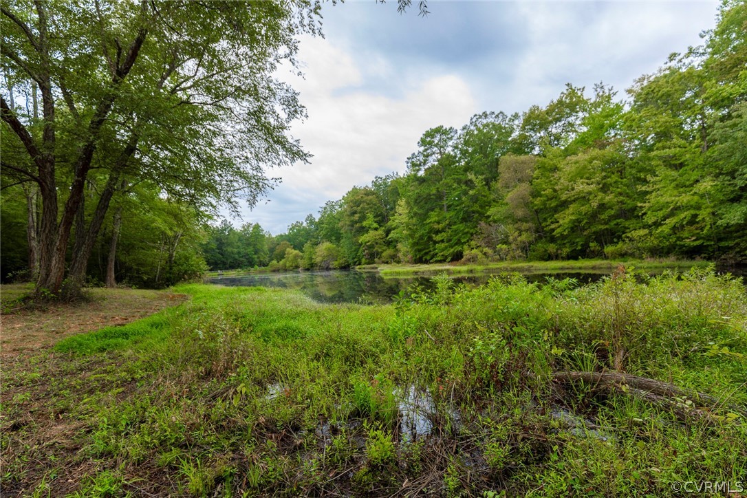 1567 Smithfield Road St. Stephens Church, VA 23148 - Photo 11 of 49 Gallery Image 11