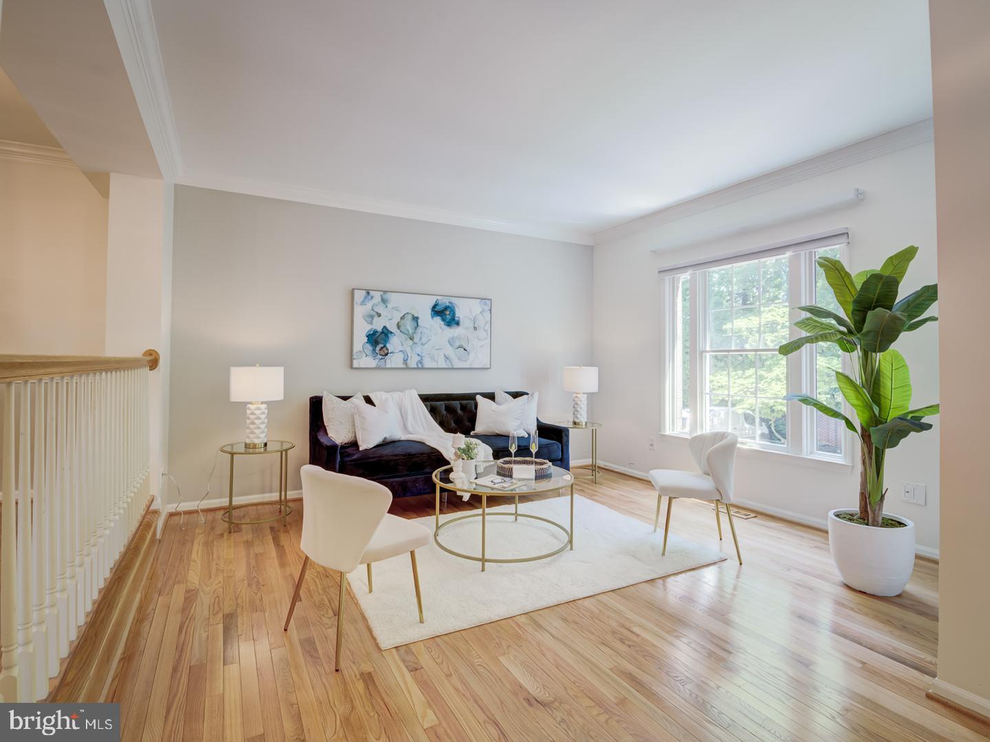 6558 Antrican Drive Springfield, VA 22150 - Photo 2 of 45