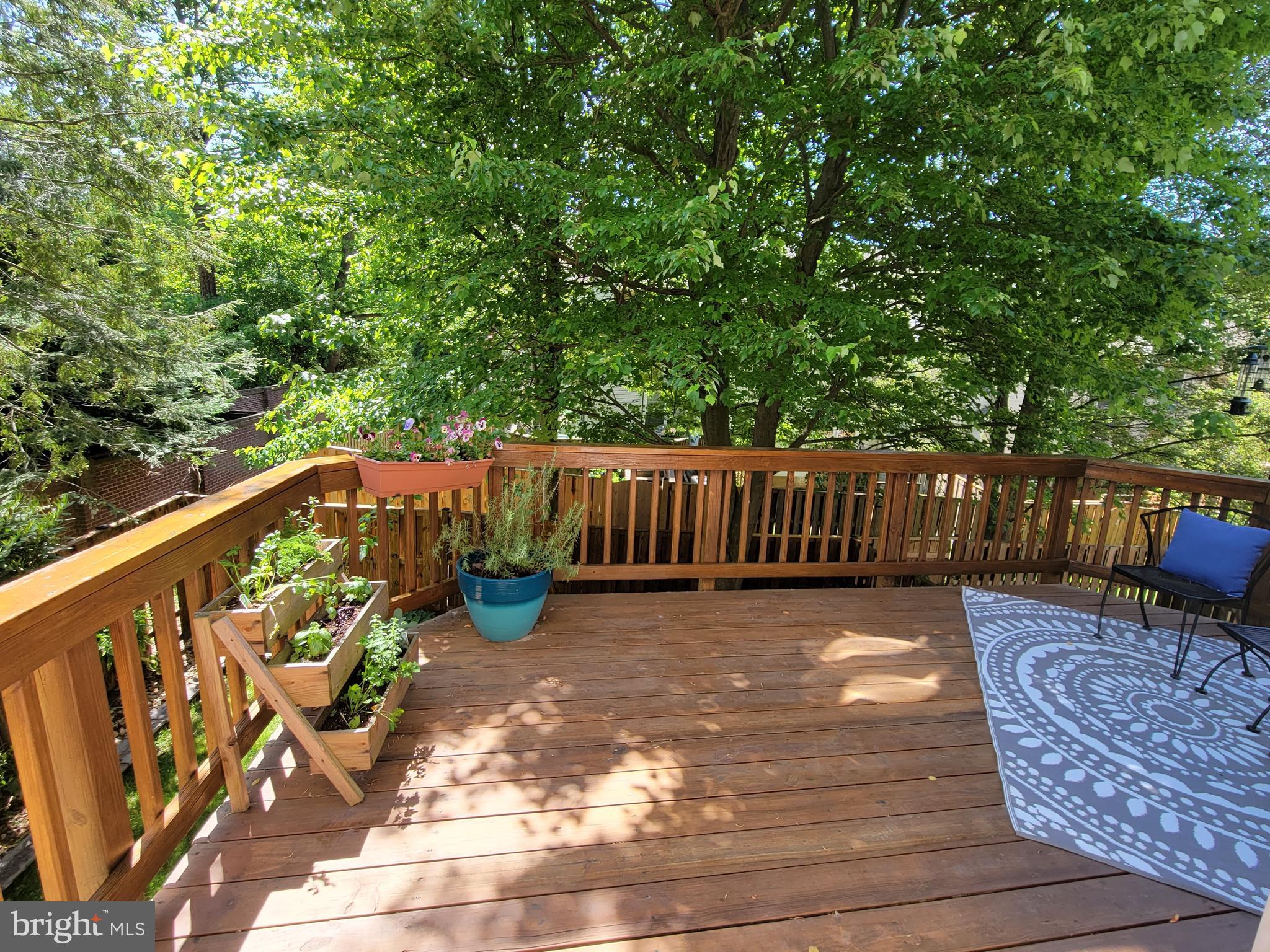 6558 Antrican Drive Springfield, VA 22150 - Photo 23 of 45