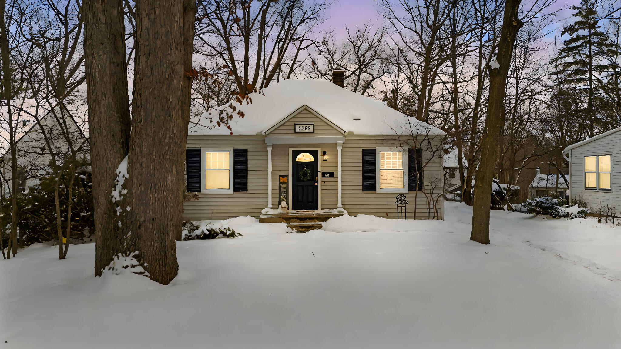 1209 Birk Avenue Ann Arbor, MI 48103 - Photo 2 of 57 46-web-or-mls-DJI_20260126160259_0568_D