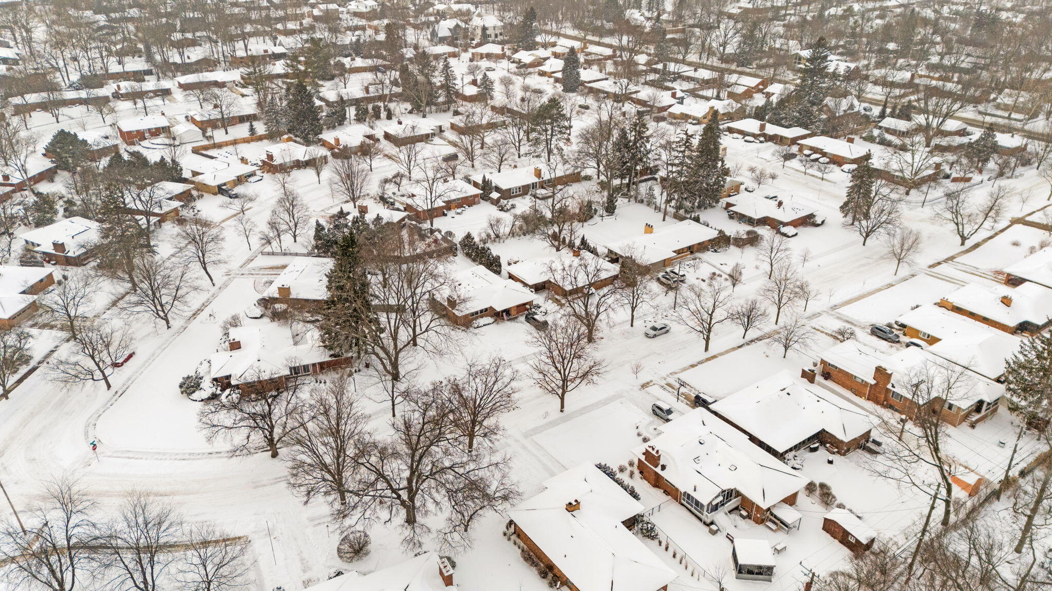 1209 Birk Avenue Ann Arbor, MI 48103 - Photo 47 of 57 5-web-or-mls-DJI_20260126160835_0582_D