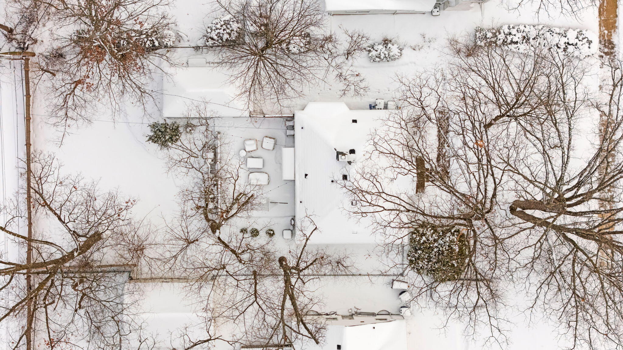 1209 Birk Avenue Ann Arbor, MI 48103 - Photo 48 of 57 6-web-or-mls-DJI_20260126160933_0584_D