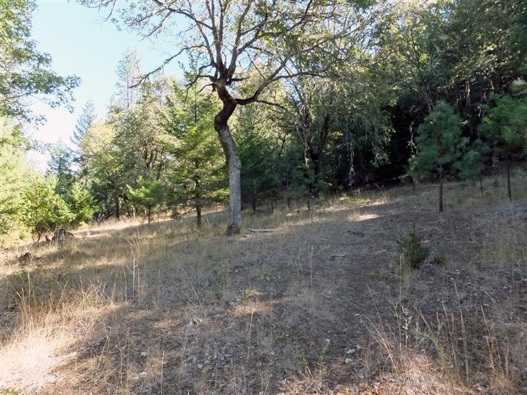 4477 Thompson Creek Road Jacksonville, OR 97530 - Photo 6 of 13 Additional Photo