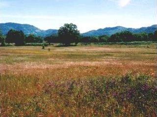 9771 Potter Valley Road Ukiah, CA 95482 - Photo 1 of 1 a view of a lake with a mountain in the background