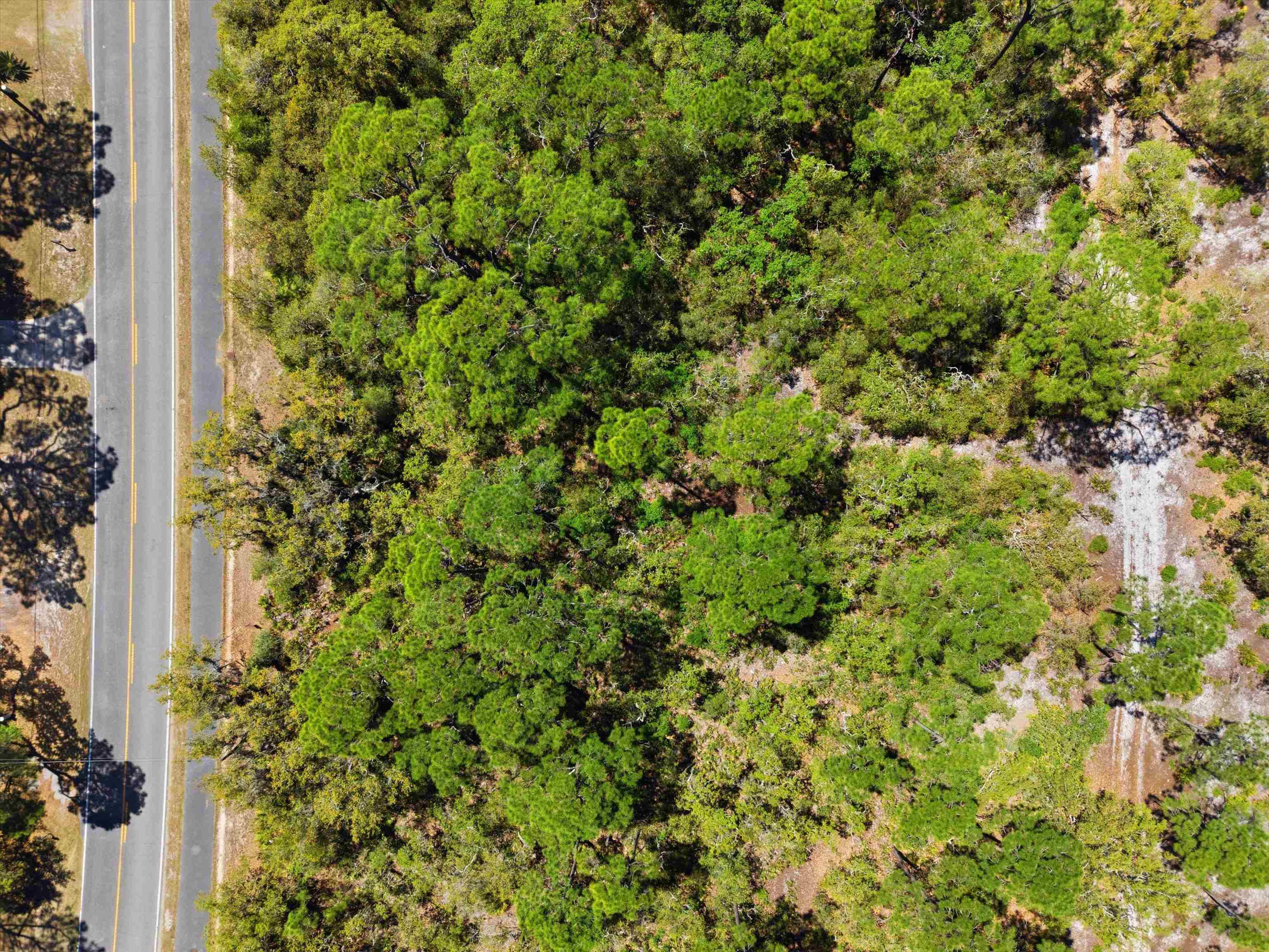 Xxx Mashes Sands Road Panacea, FL 32346 - Photo 21 of 23