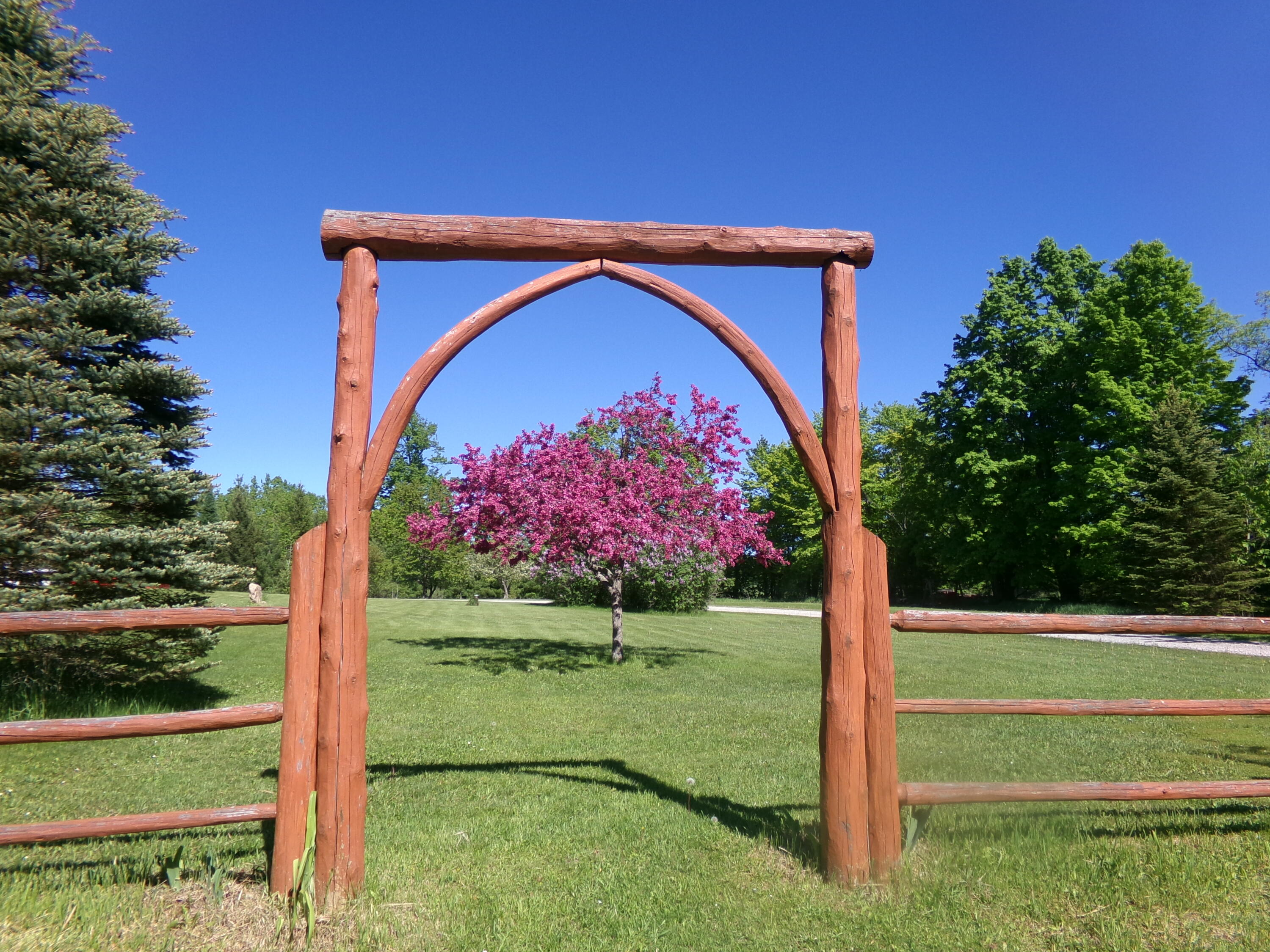 9901 Bolton Road Posen, MI 49776 - Photo 11 of 60 archway to flowering Crabapple