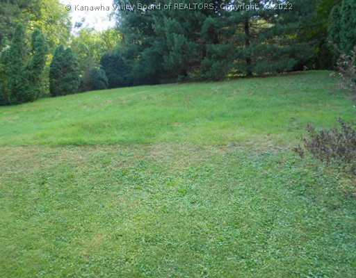 504 James River Road Cabin Creek, WV 25035 - Photo 10 of 13 Yard/Garden.