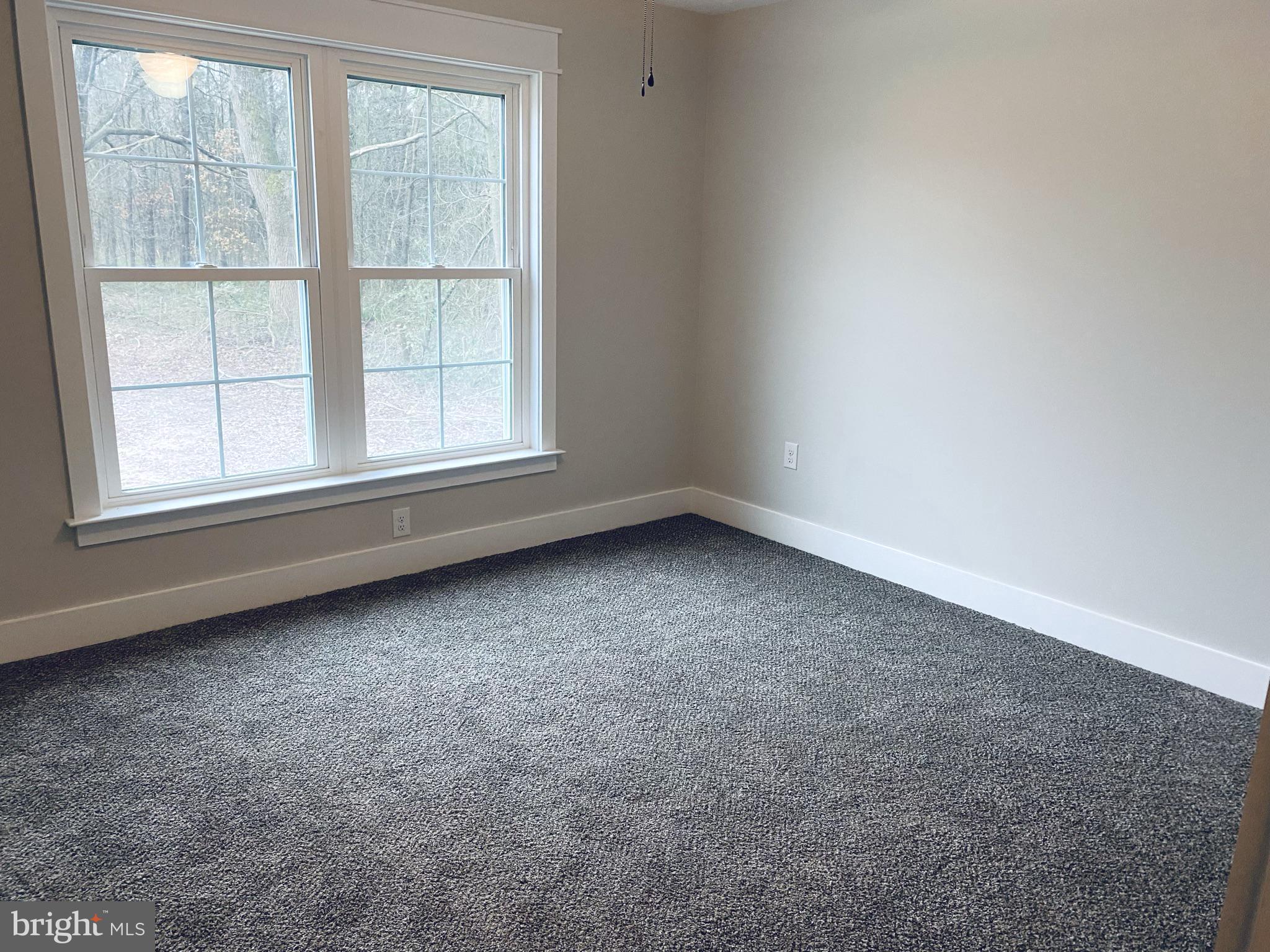 31461 Melson Road Delmar, MD 21875 - Photo 28 of 36