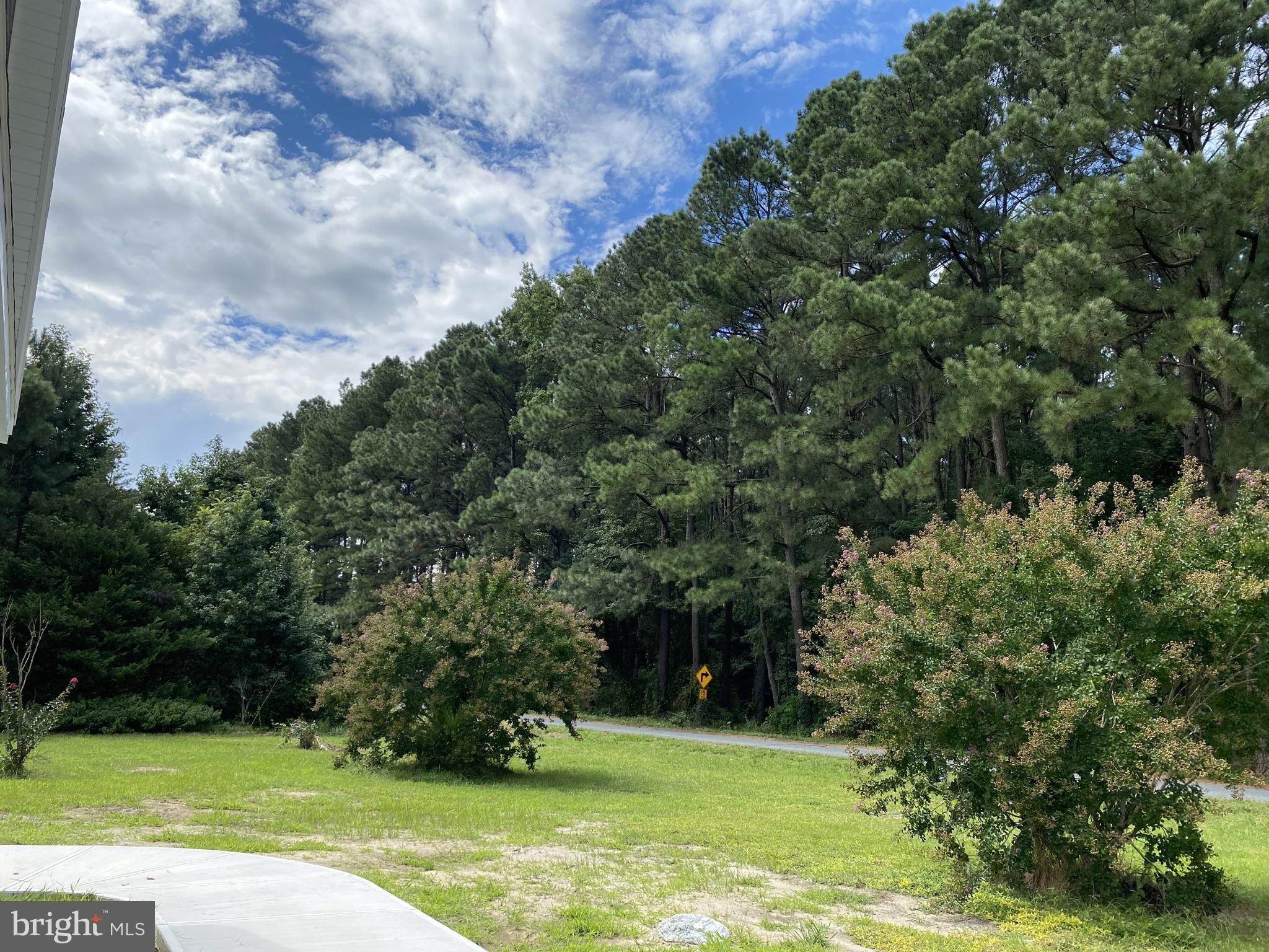 31461 Melson Road Delmar, MD 21875 - Photo 34 of 36 view from front door