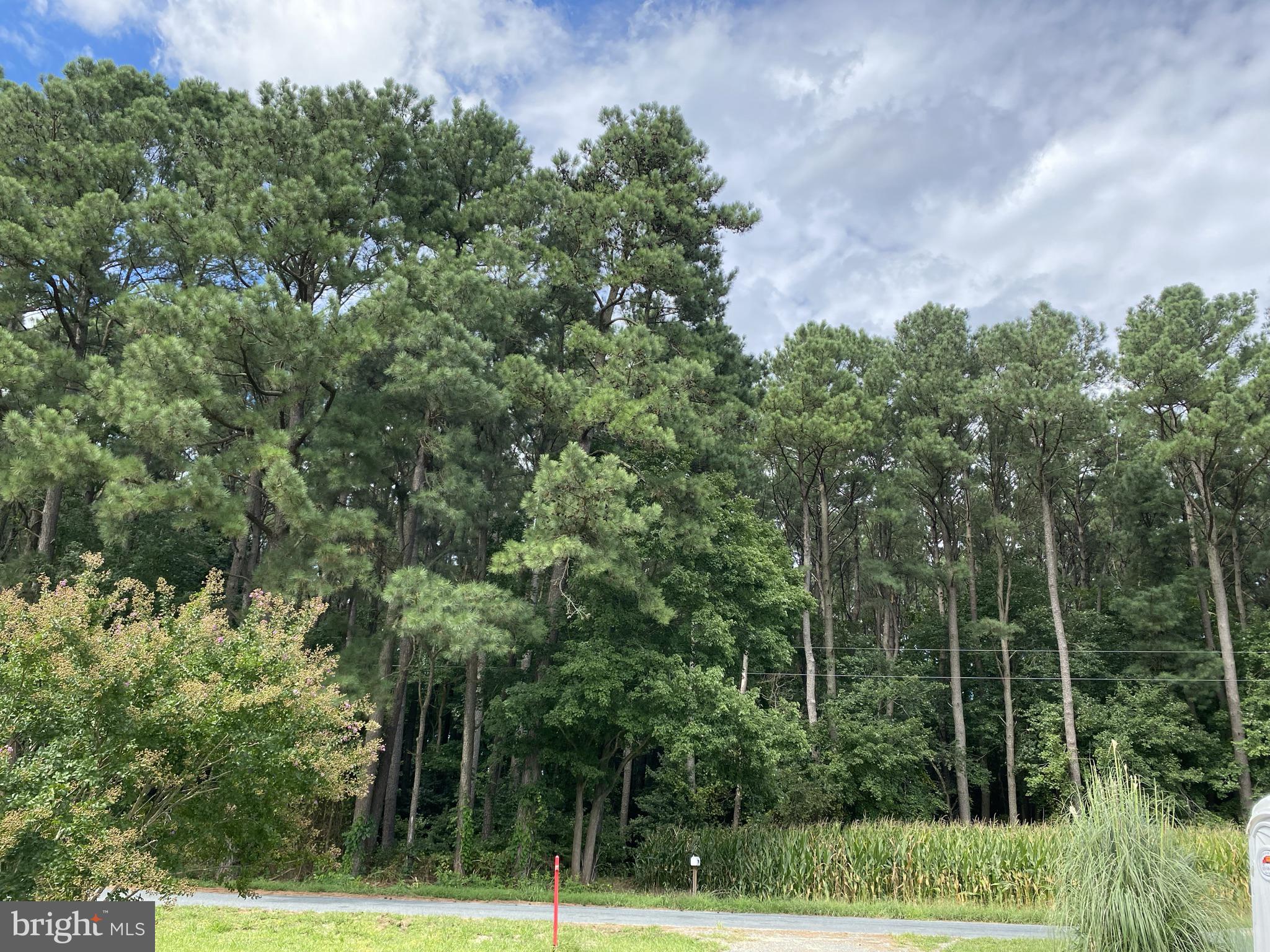 31461 Melson Road Delmar, MD 21875 - Photo 35 of 36